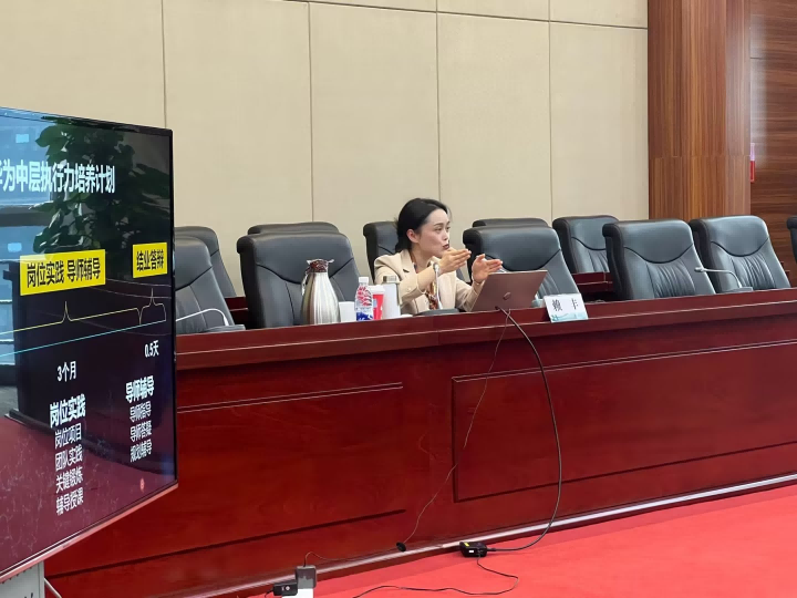 賴豐:國家電網(wǎng)-人才激勵與人才隊伍建設(shè)培訓(xùn)